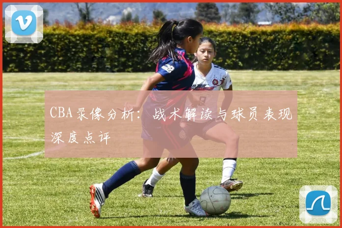 CBA录像分析:战术解读与球员表现深度点评