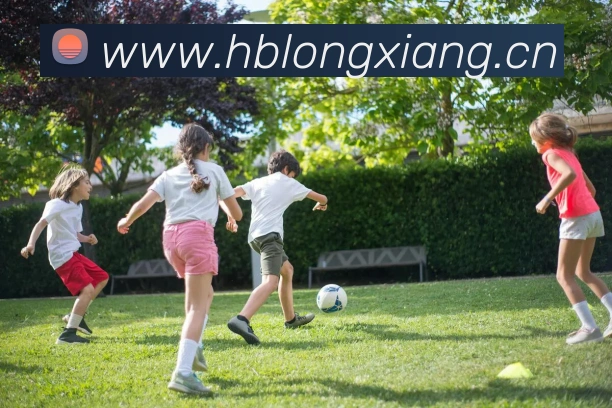 开云在线登录入口官网品牌故事